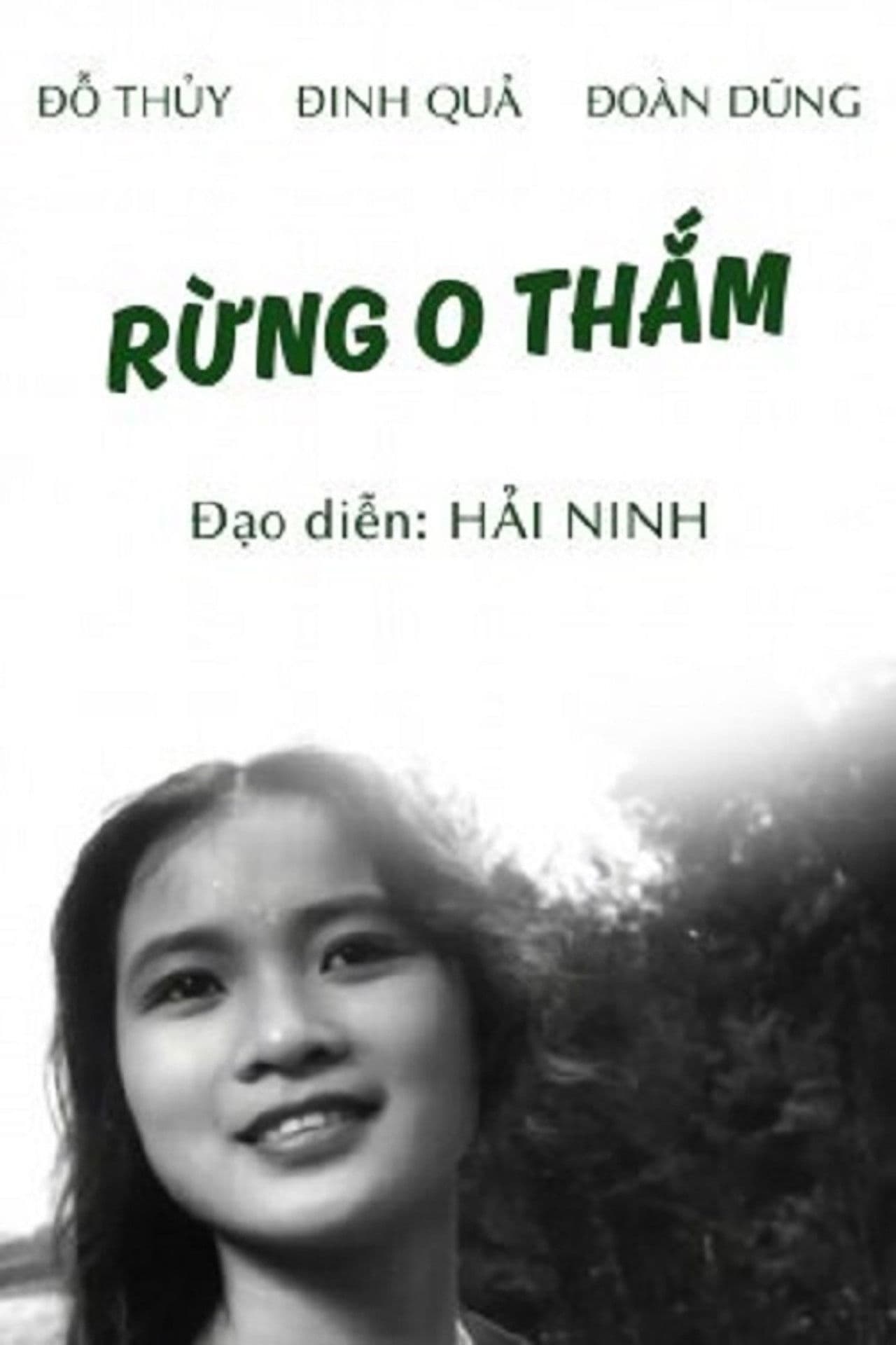 The Forests of Miss Thắm