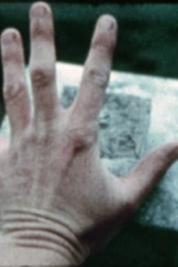 Barbara Ward Will Never Die