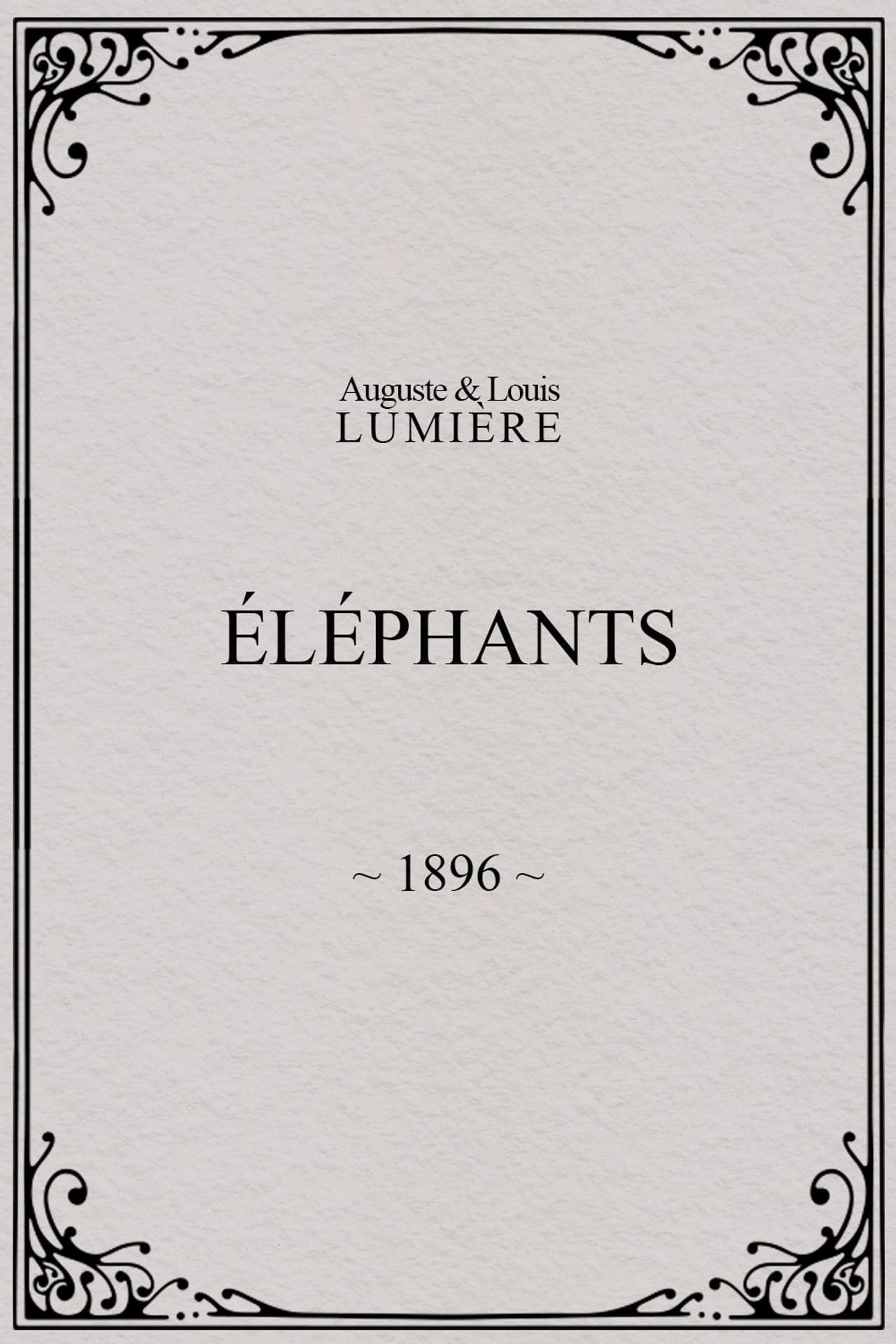 Elephants