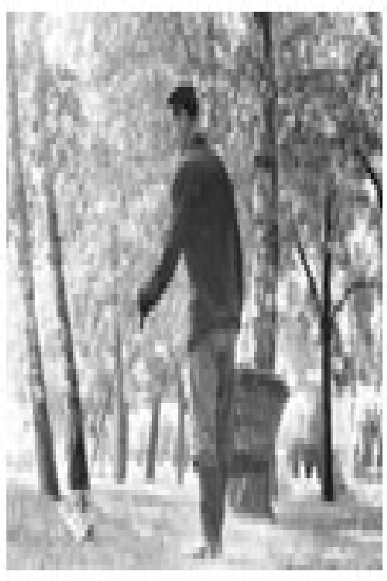 Newspapers, Newspapers