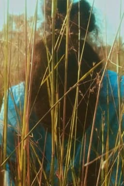 Ngupelngamarrunu, Night Time Go