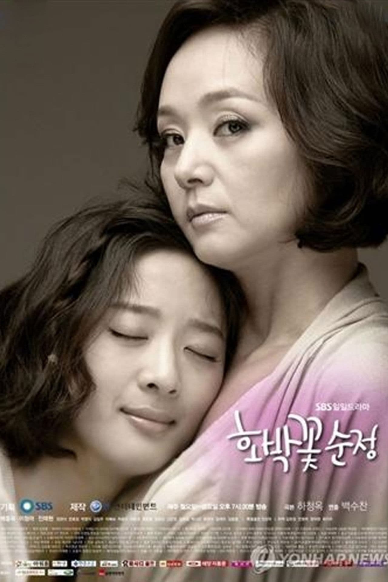 호박꽃 순정 (Duplicated)