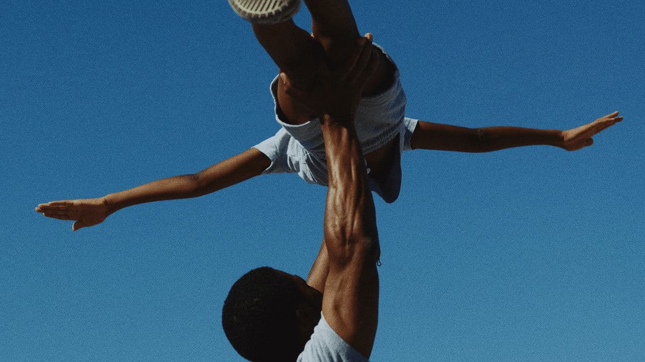 If I Go Will They Miss Me