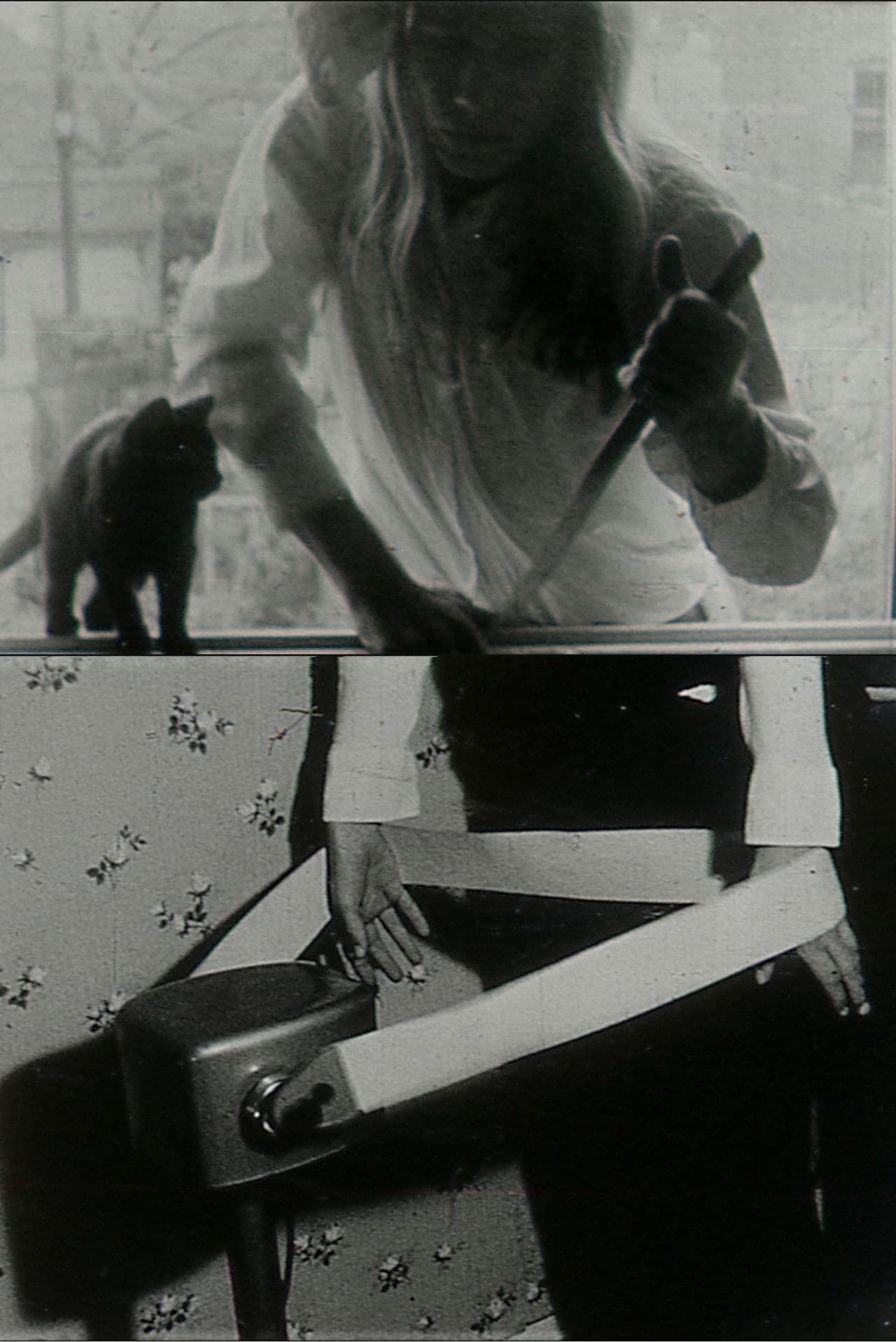 We Hope You Enjoy This Film