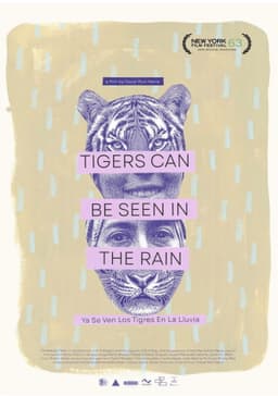 Tigers Can Be Seen In The Rain