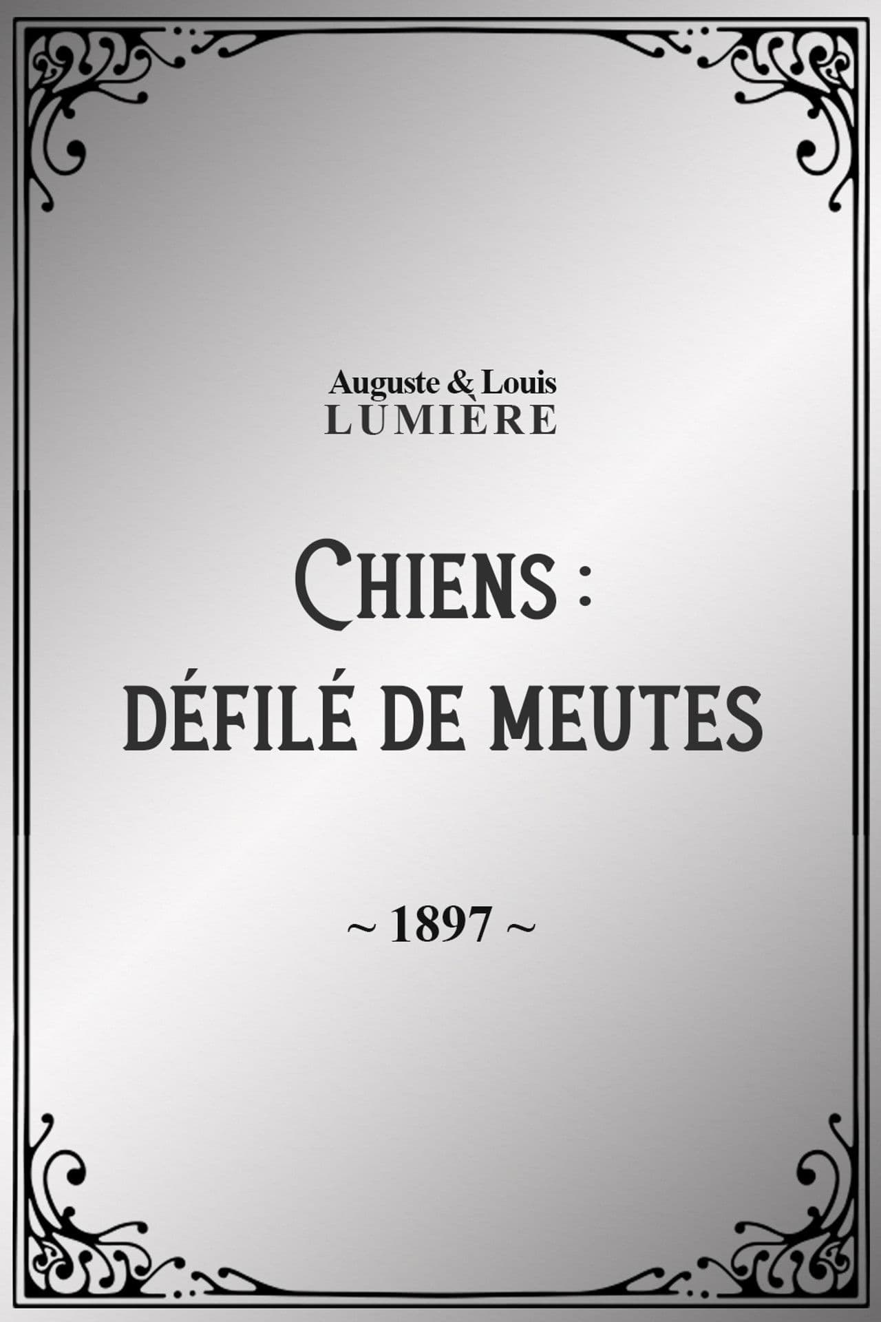 Chiens : défilé de meutes