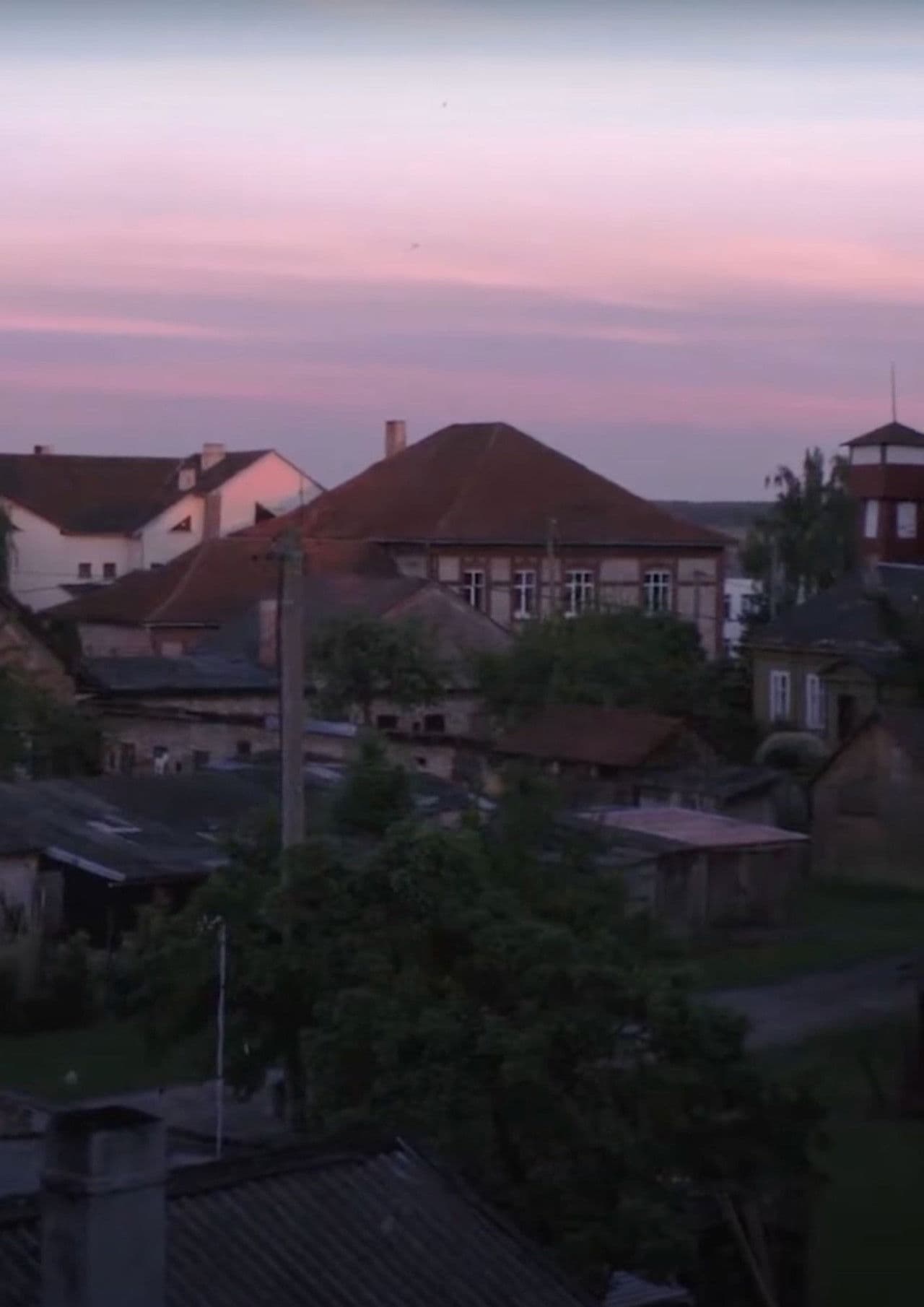 Peafowls Flew Away and Took My Thoughts With Them