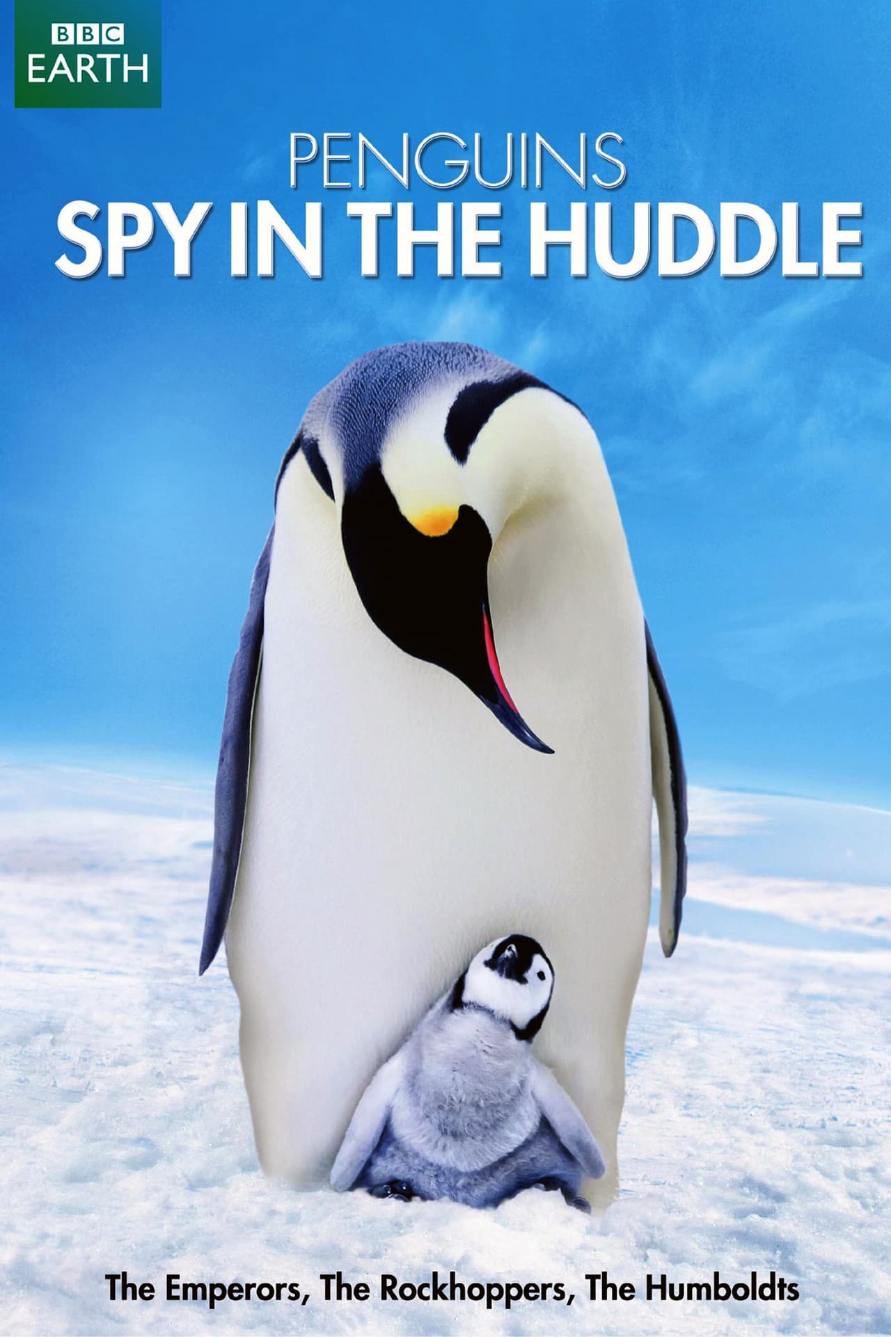 Penguins: Spy in the Huddle