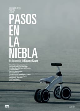 Pasos en la niebla
