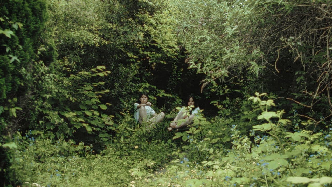 My Sister Is a Butterfly