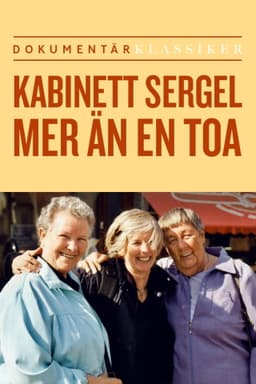 Kabinett Sergel - mer än en toa