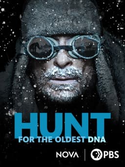 The Hunt for the Oldest DNA