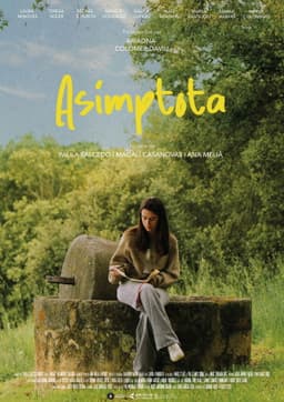 Asímptota (pilot)