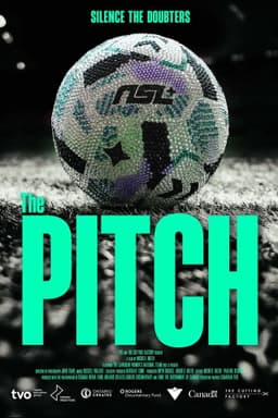 The Pitch