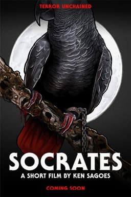 Socrates