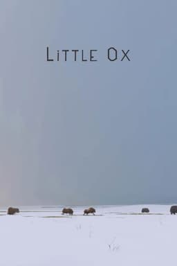 Little Ox