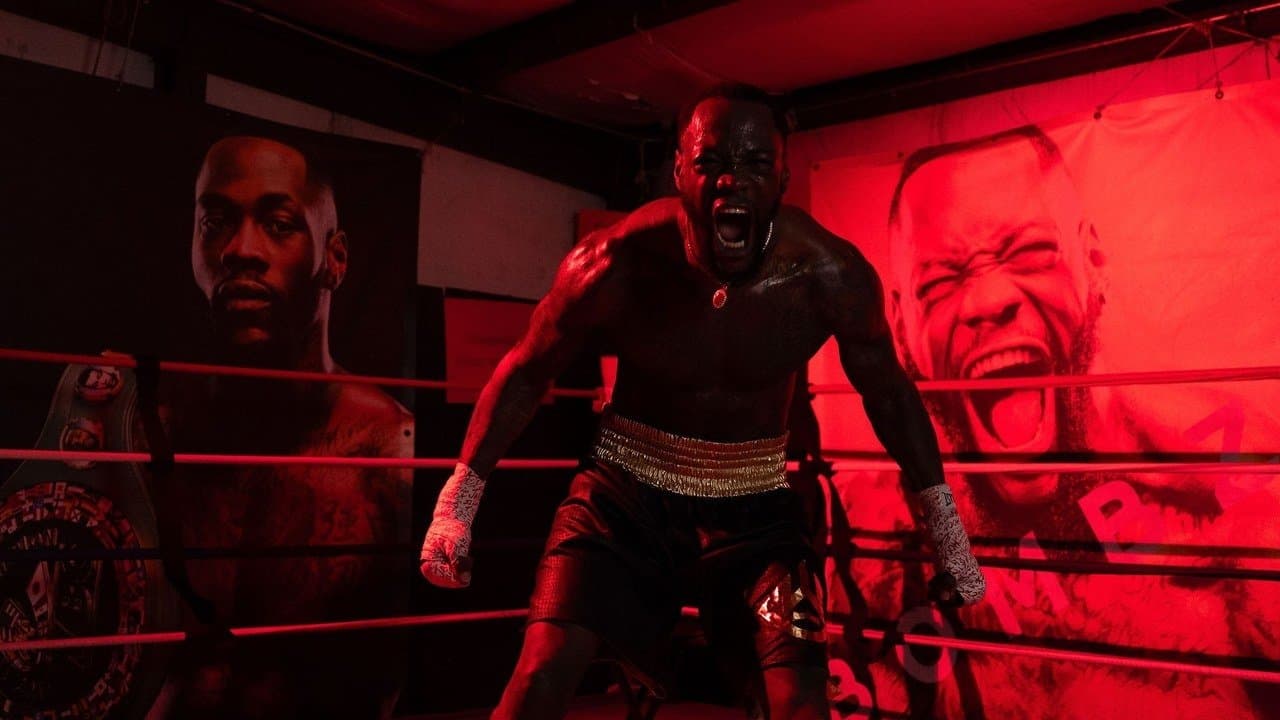 Deontay Wilder vs. Tyrrell Herndon