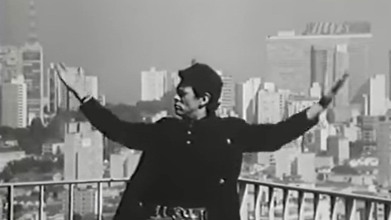 São Paulo: Symphony and Cacophony