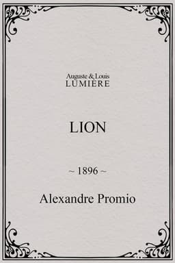 Lion, London Zoological Gardens