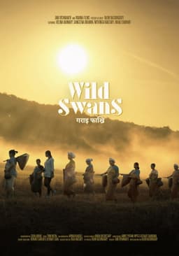 Wild Swans