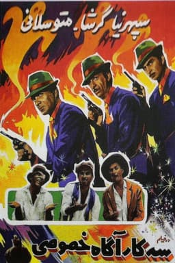 Three Private Detectives