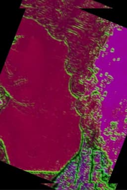 The Oneiric Cathedral