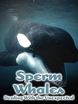 Sperm Whales: Dealing with the Unexpected