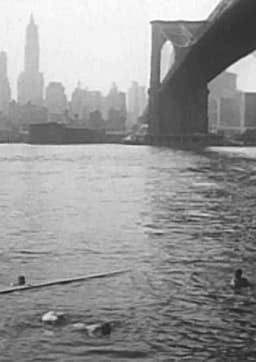 Under the Brooklyn Bridge