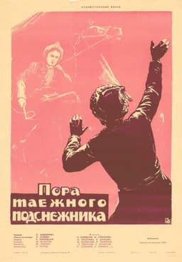 Time of Taiga Snowdrop