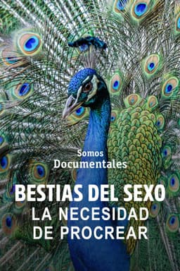 Sexy Beasts: The Need to Breed