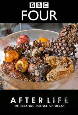 After Life: The Strange Science of Decay