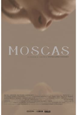Moscas