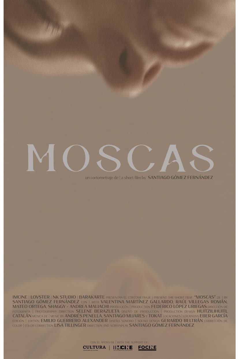 Moscas