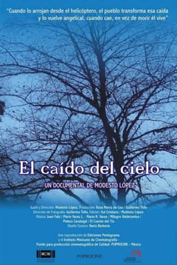 The One Fallen from the Sky