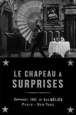 Hat of Many Surprises