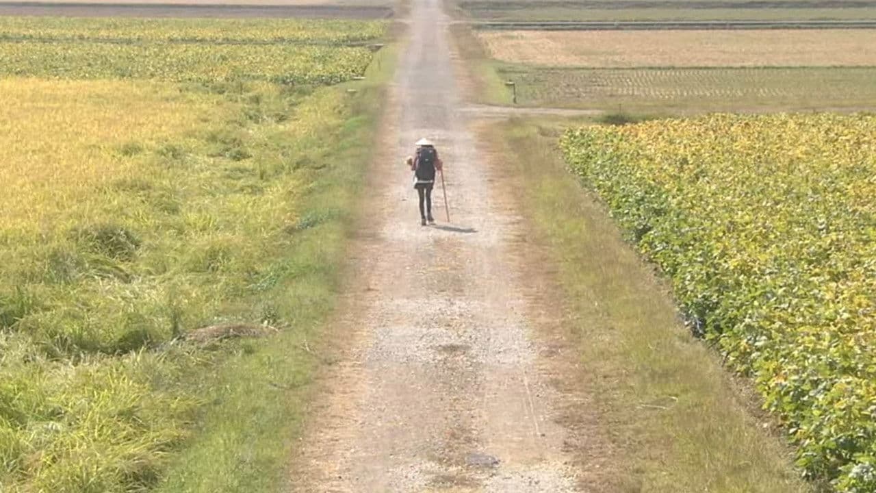 Walk, Walk, Walk ~ Shikoku Pilgrimage Journey