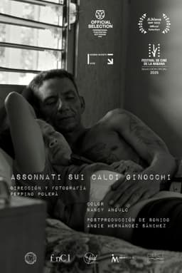 Sleeping on Warm Knees