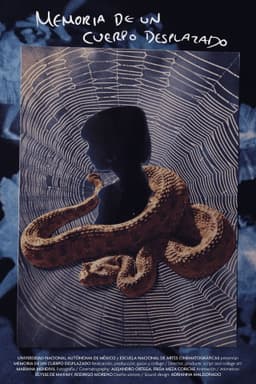 Memory of a Displaced Body