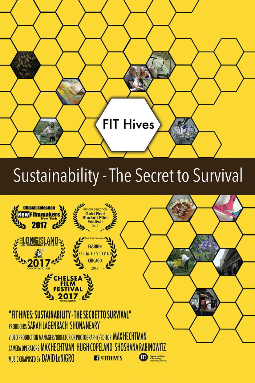 FIT Hives: Sustainability - The Secret to Survival