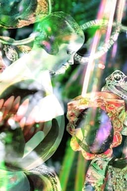 Spirit of the Magpie