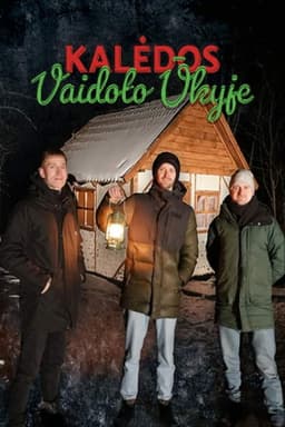 Christmas at Vaidotas Farm