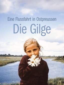 Die Gilge
