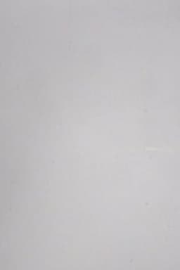 24 Frames per Second