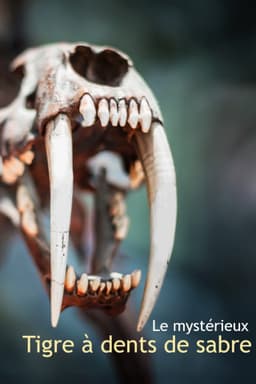 Le mystérieux tigre à dents de sabre
