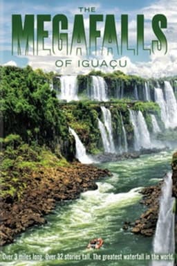 The Falls of Iguaçu