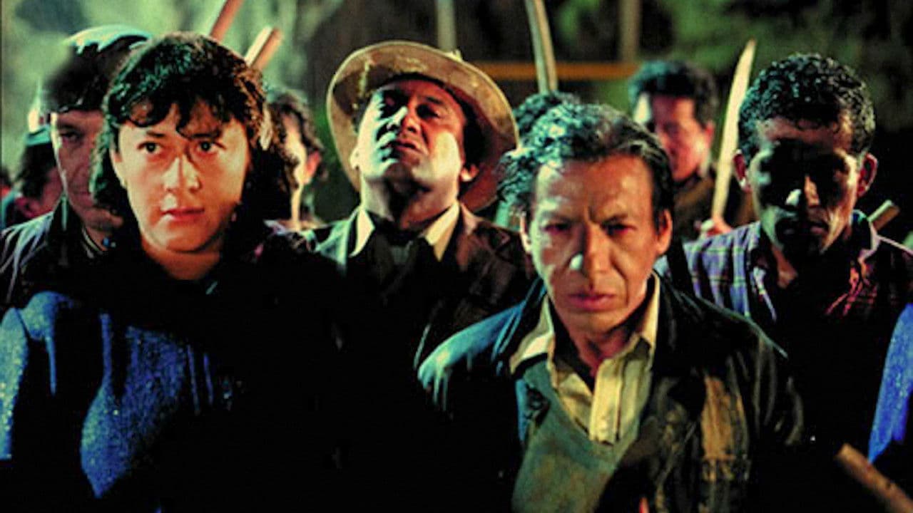 A Game of Cat and Mouse