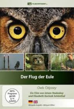 Der Flug der Eule