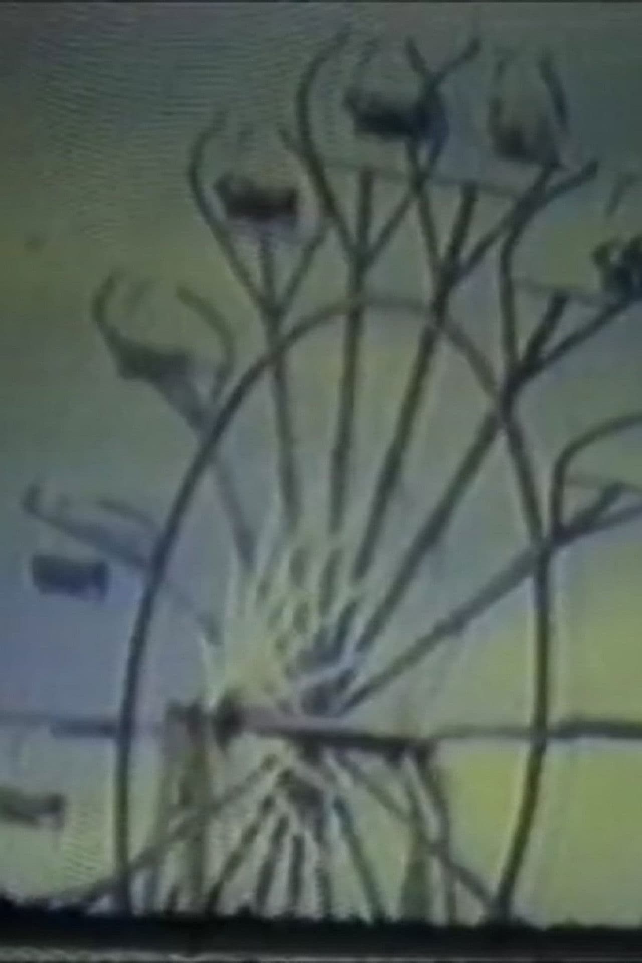 Europe in Five Minutes