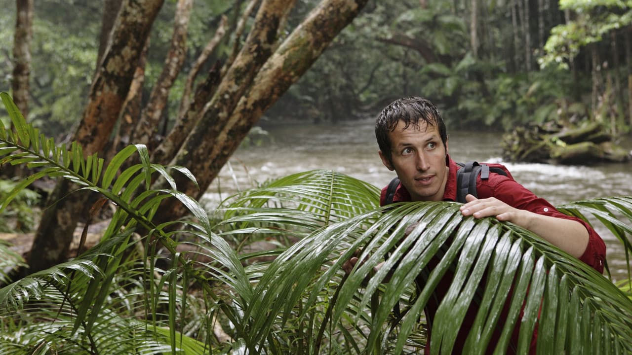 Willi and the wonders of this world