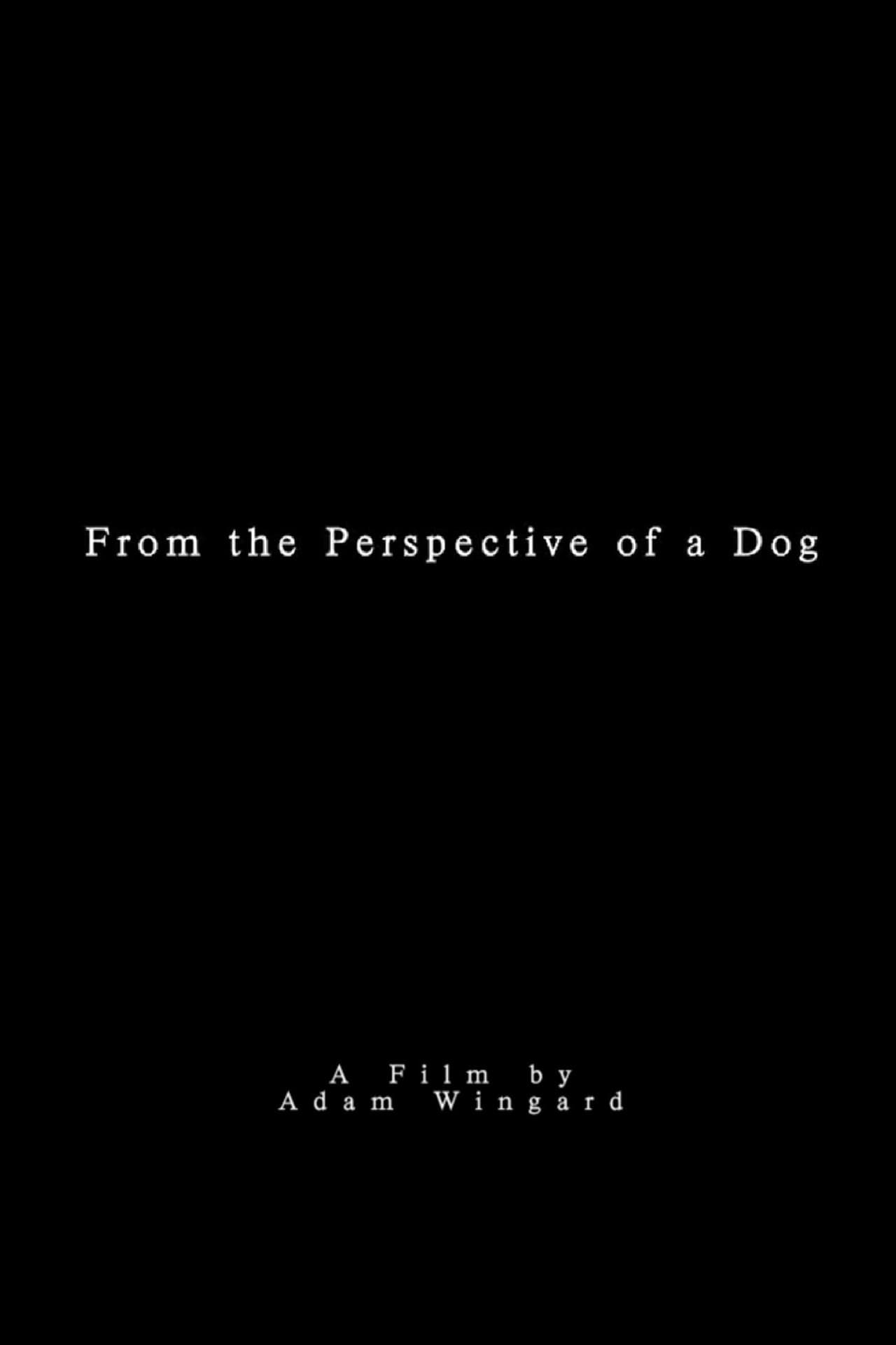 From the Perspective of a Dog
